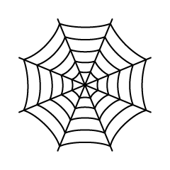 Spiderweb