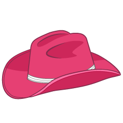 Pink Cowboy Hat