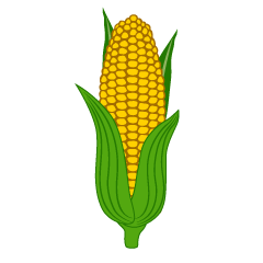 Corn with Leaves