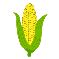 Yellow Corn