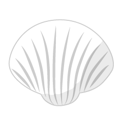 White Shell