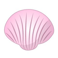 Pink Shell