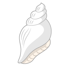 White Shell