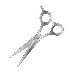 Barber Scissors