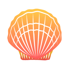 Colorful Orange Shell