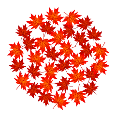 Red Fall Leaves Circle