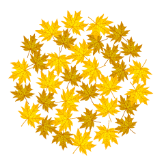 Yellow Fall Leaves Circle