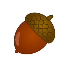 Acorn