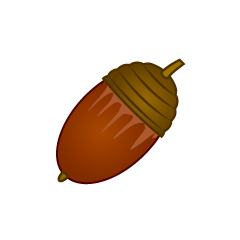 Thin Acorn