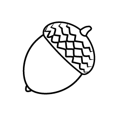 Acorn Black and White