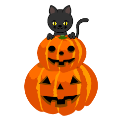 Black Cat and Pumpkins