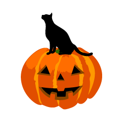 Black Cat on Pumpkin