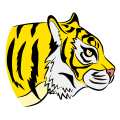 Yellow Tiger Profile