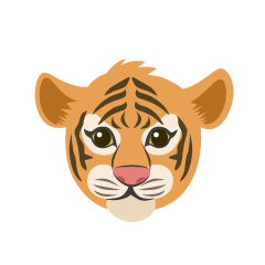 Child Tiger Face