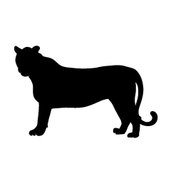 Tiger Silhouette