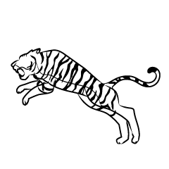 Tiger Black and White