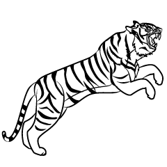 TigerJumping Black and White