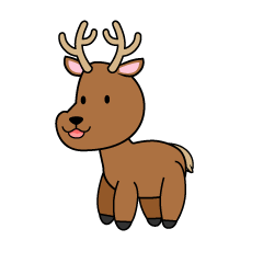 Cute Deer