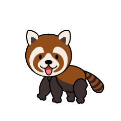 Cute Red Panda