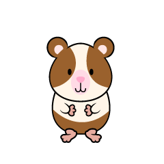 Cute Guinea Pig