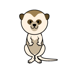 Cute Meerkat