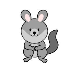 Cute Chinchilla