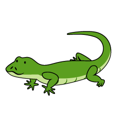 Cute Lizard