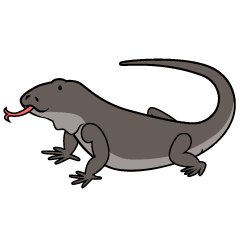 Cute Komodo Dragon