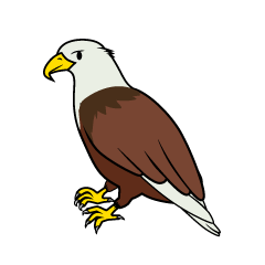 Cute Eagle