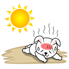 Heat Stroke in Rabbit