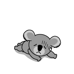 Tired Koala