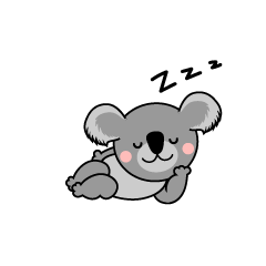 Sleeping Koala