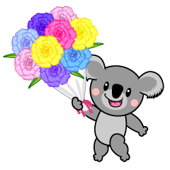 Celebrate Koala