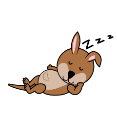 Sleeping Kangaroo