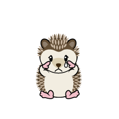 Sad Hedgehog