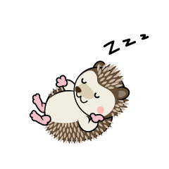 Sleeping Hedgehog