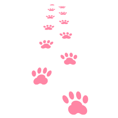 Huellas de un gato caminando