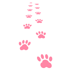 Footprints of a Walking Cat