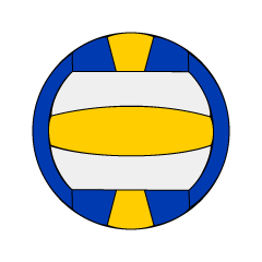 Balón de voleibol