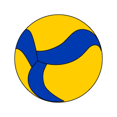 Balón de voleibol