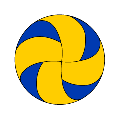 Volleyball Ball