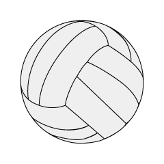 White Volleyball Ball