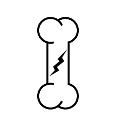 Cracked Bone