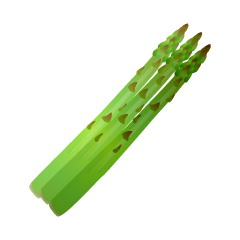 Asparagus