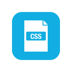 CSS