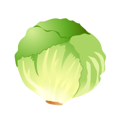 Lechuga