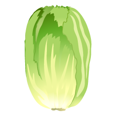 Chinese Cabbage