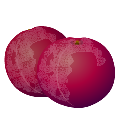 Plum