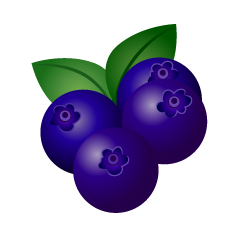 Blueberry