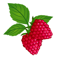 Raspberry